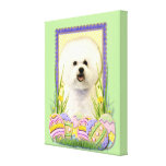 Easter Egg Cookies - Bichon Frise Stretched Canvas Prints