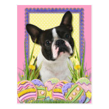 Easter Egg Cookies - Boston Terrier Post Cards