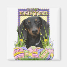 Easter Egg Cookies - Dachshund Refrigerator Magnets