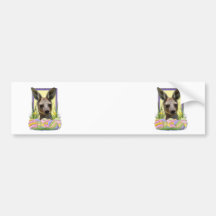 Easter Egg Cookies - Kangaroo Bumper Stickers
