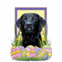 Easter Egg Cookies - Labrador - Black Photo Cutouts