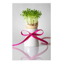 Easter Egg Shell With Greens And Pink Ribbon Photograph