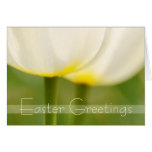 Easter Greetings Elegant Tulips Card cards