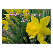 Easter Jonquil Card