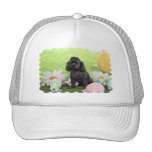 Easter - Poodle - Junior Hat