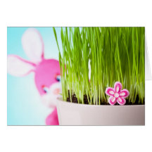 Easter Rabbit Card