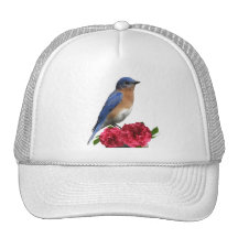 Eastern Bluebird Camellia Hat