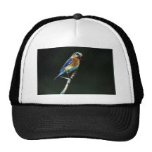 Eastern Bluebird Hat