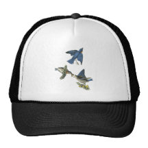 Eastern Bluebird, John Audubon Hats