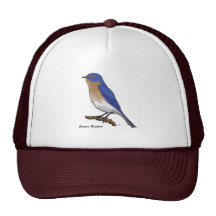 EASTERN BLUEBIRD MESH HATS