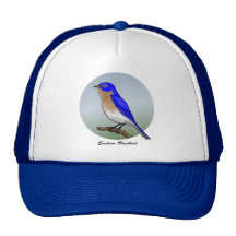 Eastern Bluebird rev.2.0 Shirts and Apparel Mesh Hat