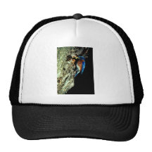Eastern Bluebird Trucker Hat