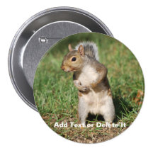 Eastern Grey Squirrel button