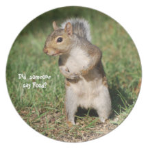 Eastern Grey Squirrel plate