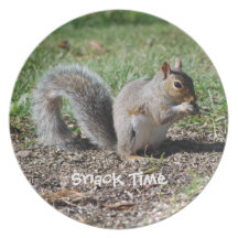 Eastern Grey Squirrel Plates