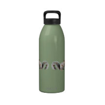 Eastern Grey Squirrel Water Bottle