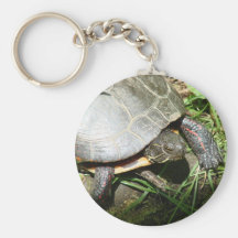 Eastern painted turtle keychains