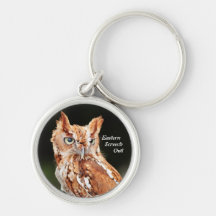 Eastern Screech Owl (Otus asio) keychain