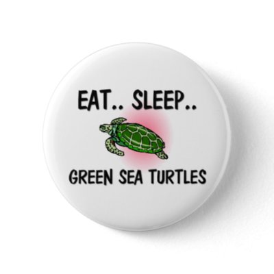 button turtles