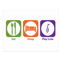 Eat Sleep Play Lute Post Cards