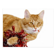 Eating Christmas decorations Postcards