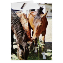 Eating Horses Greeting Cards