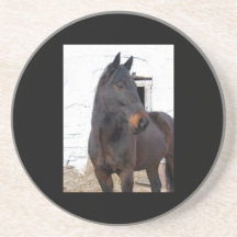 EBONY COASTER