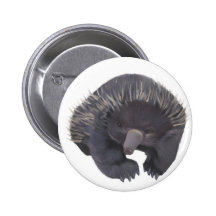 Echidna Button