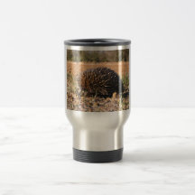 Echidna Finding Food On The Soil Mug