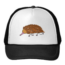 echidna mesh hats