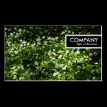 Edge Tag - Wild Garlic business cards
