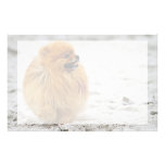 Edgrrrr #3 - Pomeranian Customized Stationery