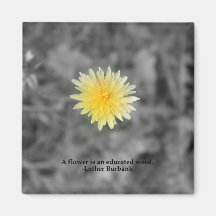 Educate the weeds magnet
