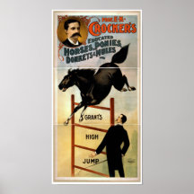 Educated horses, ponies, donkeys, and Mules Posters