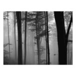 EERIE FOREST TREES LEAVES B&W INVITATION