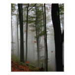 EERIE FOREST TREES LEAVES FULL FALL COLORS PERSONALISED INVITATION