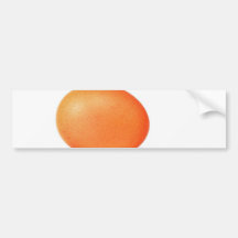 Egg On The White Background Bumper Stickers