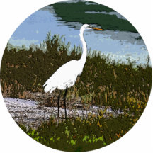Egret Photo Cutouts