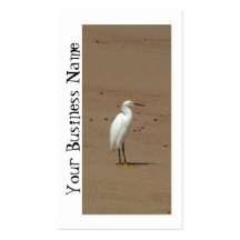 Egrets Loitering on Beach Business Card Templates