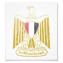 Egypt Coat Of Arms Art Photo