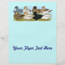 Eight Call Ducks Full Colour Flyer