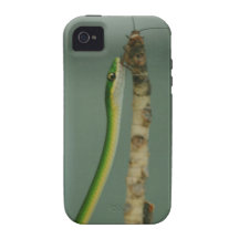 Ekans iPhone 4/4S Case