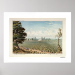 El Pinal Vineyard, San Joaquin County Poster
