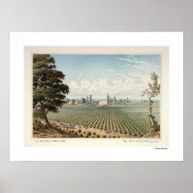El Pinal Vineyard, San Joaquin County Poster