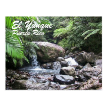 El Yunque, Puerto Rico Post Card
