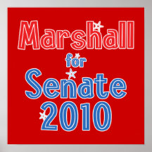 Elaine Marshall for Senate 2010 Star Design Poster