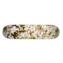 Elder Flowers Little Skate Decks