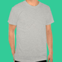 Elect Obama Tshirt t-shirts