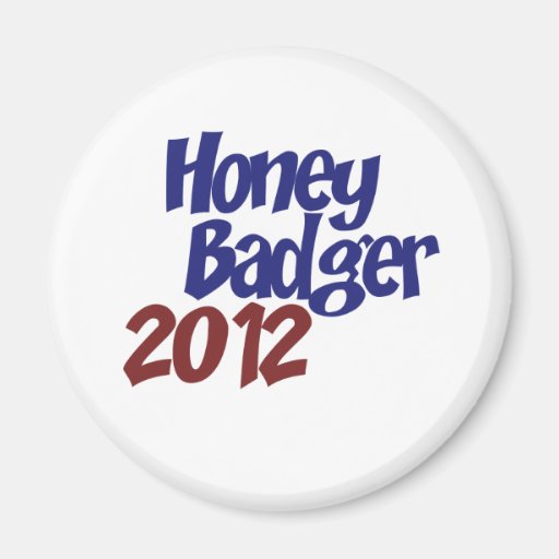 Election 2012 parody refrigerator magnet
