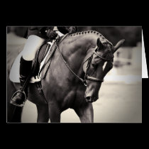 Elegance - Dressage Horse cards